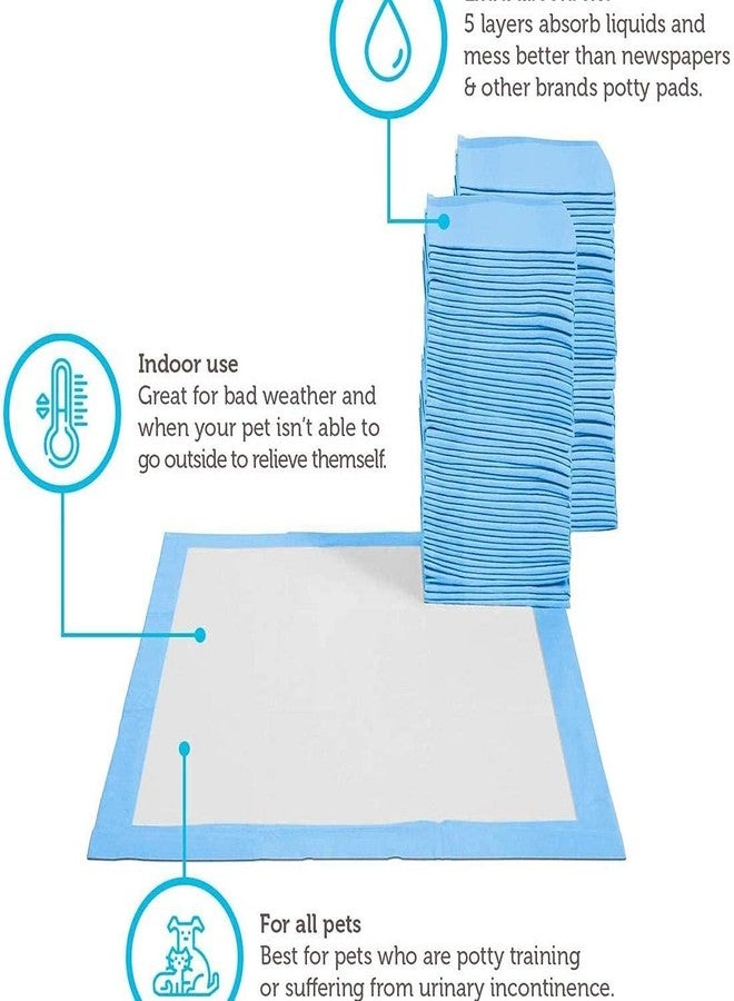 Pups&Pets Puppy Training Pee Pads Pet Training Pads for Dog and Puppy, Water Proof Dog Pee Pad (20 P, 60x90) - Image 2